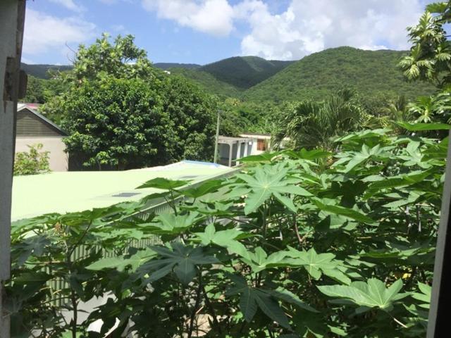 Habitation Baliache - Maison Creole Avec Jardin Privatif, Plage A 200M Deshaies Eksteriør billede